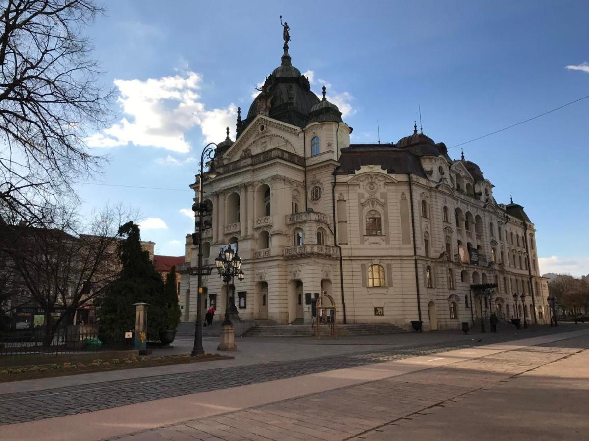 Luxury Vincents Apartments Košice Extérieur photo